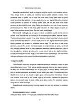 Referāts 'Pinumu tehnika', 10.