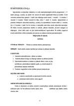 Referāts 'Pinumu tehnika', 13.