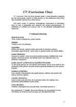 Paraugs 'Motivācijas vēstule, CV, apraksts', 4.