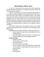 Konspekts 'Darba līgumu veidi', 1.