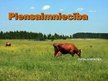 Prezentācija 'Piensaimniecība', 1.