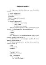 Konspekts 'Siloģisma struktūra, figūras. Nosacījuma slēdziens un nosacījuma kategoriskais s', 1.