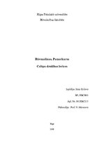 Referāts 'Celtņu drošības ierīces', 1.