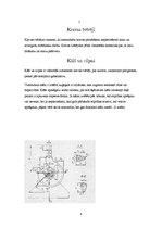 Referāts 'Celtņu drošības ierīces', 6.