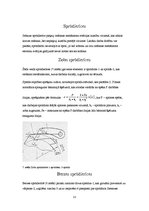 Referāts 'Celtņu drošības ierīces', 13.