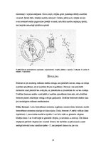 Referāts 'Celtņu drošības ierīces', 14.