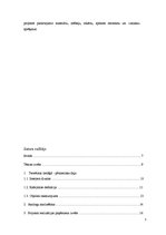 Referāts 'Kafejnīcas interjera projekts', 5.