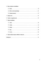 Referāts 'Kafejnīcas interjera projekts', 6.