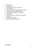 Referāts 'Kafejnīcas interjera projekts', 25.