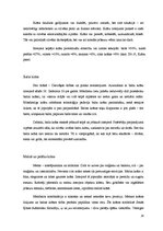 Referāts 'Kafejnīcas interjera projekts', 28.