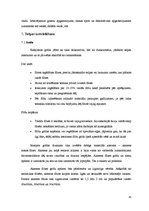 Referāts 'Kafejnīcas interjera projekts', 41.