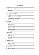 Referāts 'Sulu terapija', 2.