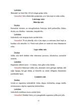 Referāts 'Sulu terapija', 13.