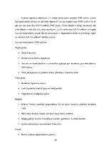 Diplomdarbs 'AS "PrivatBank" darbības analīze Latvijā', 29.