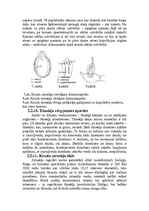 Referāts 'Krusta zirnekļa uzbūve un dzīves veids', 10.