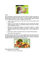 Konspekts 'Aprūpes problēmas pie kuņģa trakta slimībām', 3.