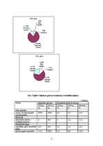 Konspekts 'Uzņēmuma SIA "Zaltes" finanšu analīze', 6.