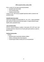 Referāts 'A/s "Latvijas Gāze"', 19.