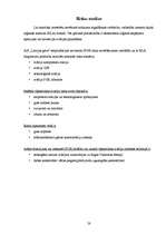 Referāts 'A/s "Latvijas Gāze"', 28.