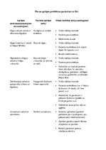 Konspekts 'Piecas aprūpes problēmas pacientam ar bronhiālo astmu', 1.