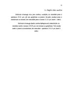 Referāts 'Citrusaugļi', 14.