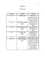 Referāts 'Citrusaugļi', 17.