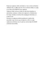 Konspekts 'Biznesa ideja', 2.