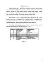 Referāts 'MP3 atskaņotāji un to ietekme uz cilvēku', 9.