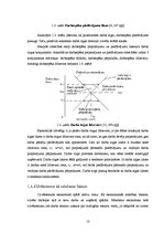 Referāts 'Latvijas darbaspēka tirgus attīstības tendences', 10.