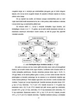 Referāts 'Latvijas darbaspēka tirgus attīstības tendences', 15.