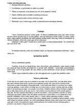 Referāts 'Zviedru apkalpošanas īpatnības', 4.