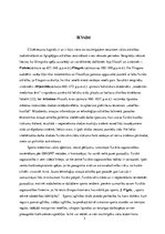 Referāts 'Izturība volejbolā', 2.