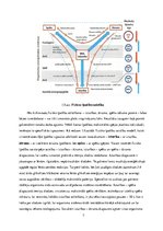 Referāts 'Izturība volejbolā', 7.
