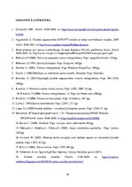 Referāts 'Izturība volejbolā', 16.