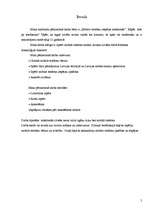 Referāts 'Mobilais telefons mūsdienās', 3.