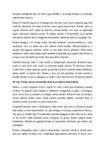 Eseja 'Daba rudenī: krāsu, dzīvības un pārejas laiks', 2.