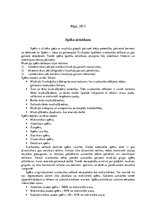 Konspekts 'Fizisko īpašību attīstīšana svarbumbu sportā. Spēks, izturība, lokanība', 2.