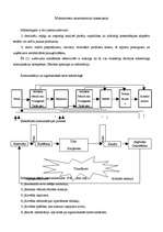 Konspekts 'Mārketinga komunikāciju komplekss', 1.
