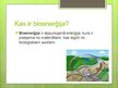 Prezentācija 'Bioenerģijas resursi', 2.
