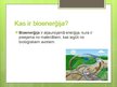Prezentācija 'Bioenerģijas resursi', 2.