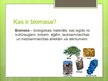 Prezentācija 'Bioenerģijas resursi', 3.