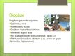 Prezentācija 'Bioenerģijas resursi', 5.