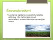 Prezentācija 'Bioenerģijas resursi', 11.