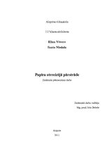 Referāts 'Papīra otrreizēja pārstrāde', 1.