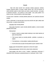 Referāts 'Papīra otrreizēja pārstrāde', 5.