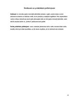 Referāts 'Papīra otrreizēja pārstrāde', 19.