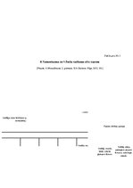 Diplomdarbs 'Vadīšanas stili starptautiskā uzņēmumā: to izvērtējums un pilnveidošanas iespēja', 63.