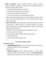 Konspekts 'Grāmatvedības pamati', 3.