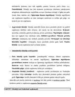 Konspekts 'Grāmatvedības pamati', 4.