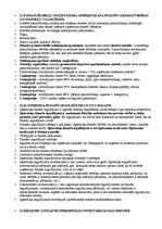 Konspekts 'Grāmatvedība', 7.